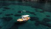 Fantastic Boat Tour