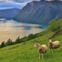 Sustainable Tours