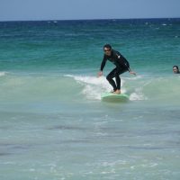 Surfing Lessons