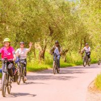 Sustainable Tours