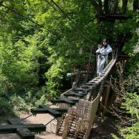 Ziplines