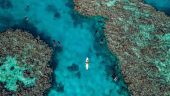 Wonderful trip for beginners and intermediate snorkellers