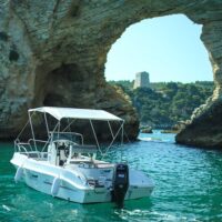 Tours & Sightseeing