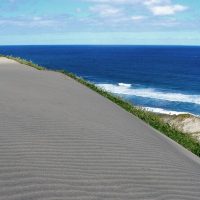Archaeology Tours