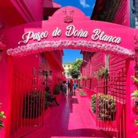 Private & Custom Tours