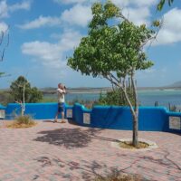 Audio Guided Tours