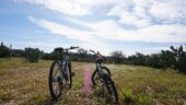 Highly recommended Cork and prickly pear farm tour