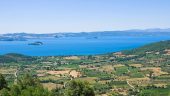 The tour operator is top...