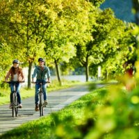 Full-day Tours