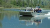 Best wildlife viewing tour!
