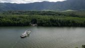 1/2 day daintree