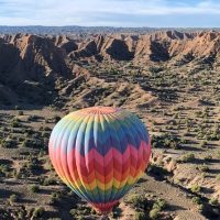 Half-day Tours