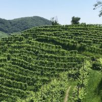 Chocolate Tours