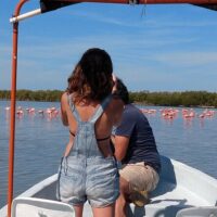 Boat Tours
