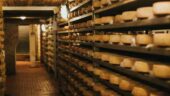 Fabulous insight into all things cheese
