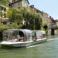 Day Cruises