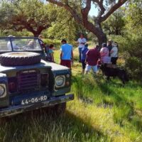 4WD, ATV & Off-Road Tours