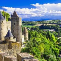 Half-day Tours