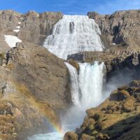 Private & Custom Tours