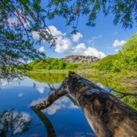 Full-day Tours