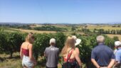 Excellent tour!!!