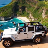 Cruises, Sailing & Water Tours