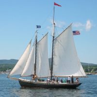 Day Cruises