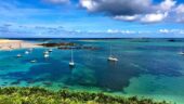 A Fantastic Half-Day Island Tour!