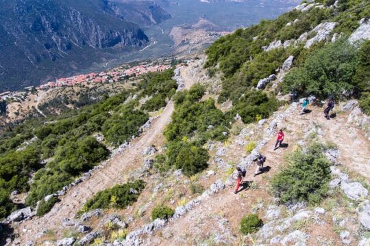 New Year’s Day long weekend in Delphi