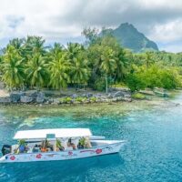 Archaeology Tours