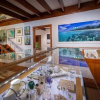 Private Sightseeing Tours