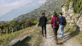Wine tour of Carema and Caluso
