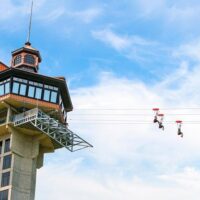 Ziplines