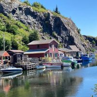 Half-day Tours