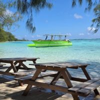 Day Cruises