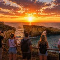 Bus & Minivan Tours