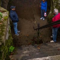 Cultural & Theme Tours