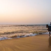 Horseback Riding