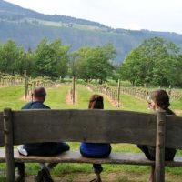 Eco Tours