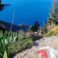 Holiday & Seasonal Tours