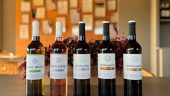 We dropped in and were treated to some excellent wines.