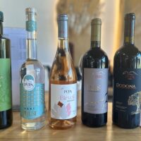 Food, Wine & Nightlife