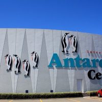 Theme Park Tickets & Tours