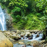 Private Sightseeing Tours