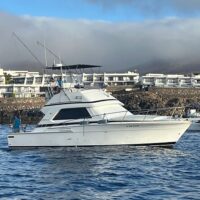 Fishing Charters & Tours