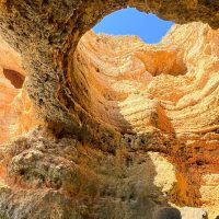 Ports of Call Tours