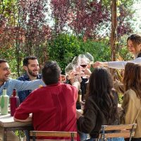 Wine Tasting & Winery Tours