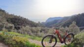 Fab bike Tour