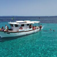Fishing Charters & Tours