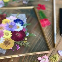 Classes & Workshops